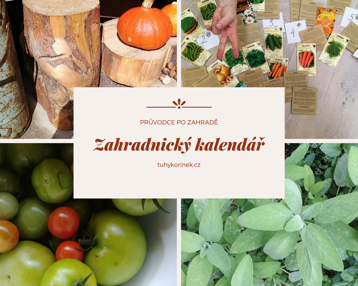 tuhykorinek